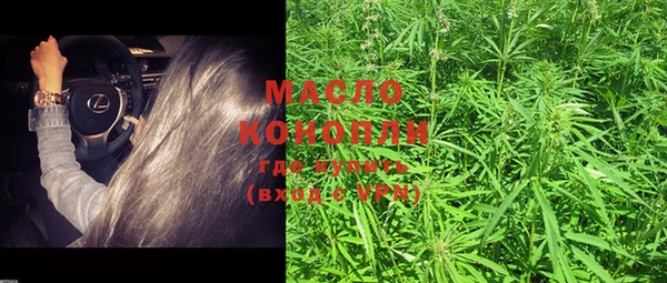 гидра Кодинск