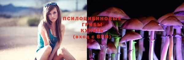 индика Инсар