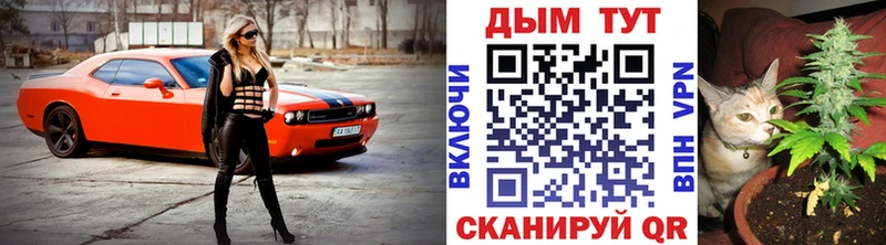 купить закладку  Лермонтов  МЕГА   Бошки марихуана Amnesia 
